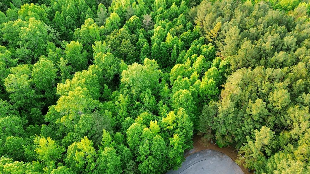 0 Allen Bend Rd, Smithville