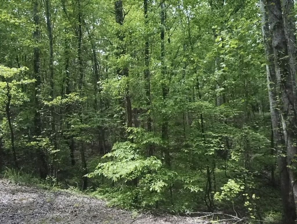 730 Wayne Smith Rd, Saulsbury
