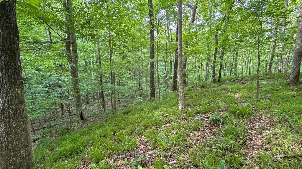 0 Murphy Hollow, Trenton