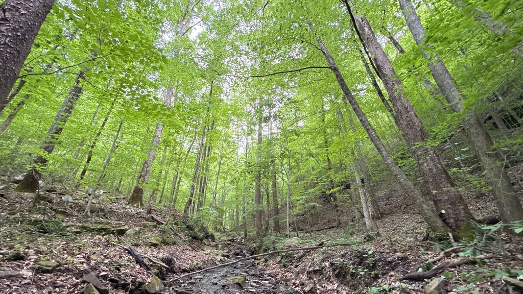 0 Murphy Hollow Rd, Trenton