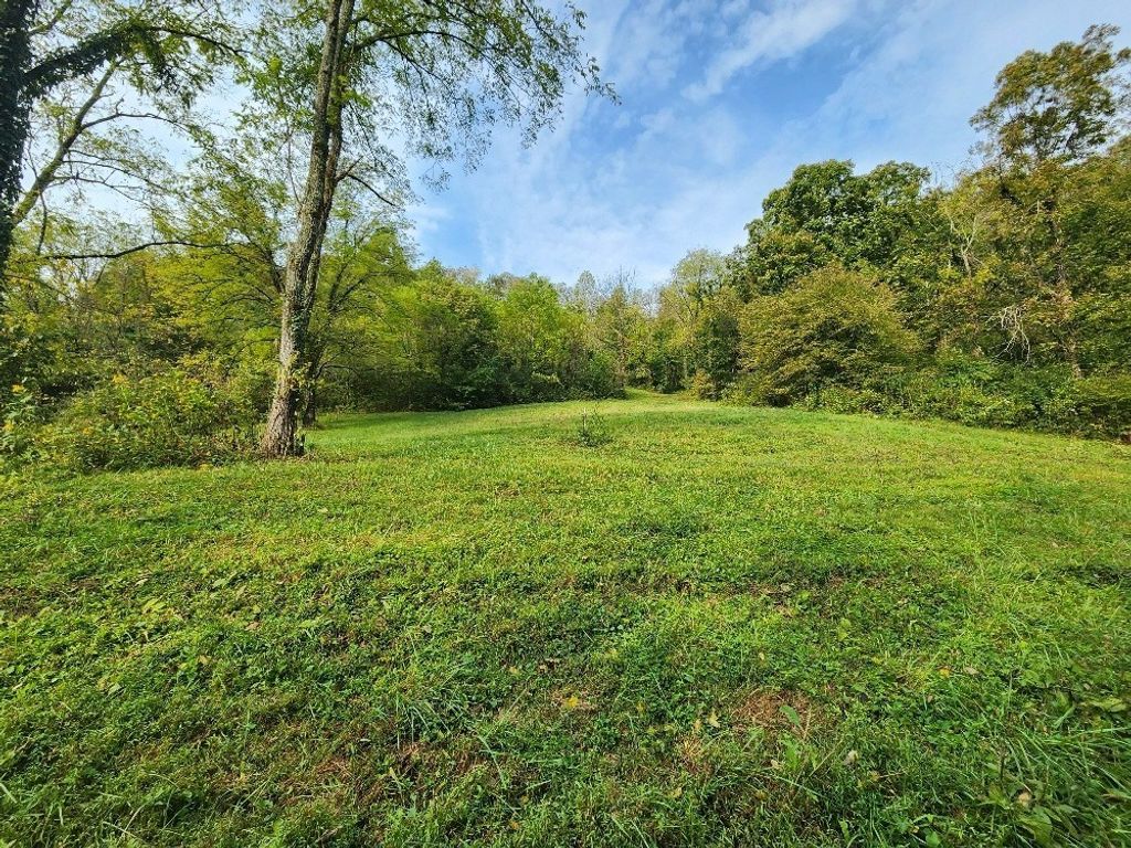 0 Webster Branch Ln, Whitleyville