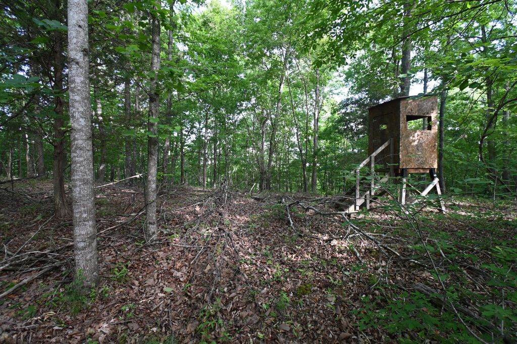 0 Lower Crooked Creek Rd, Lobelville