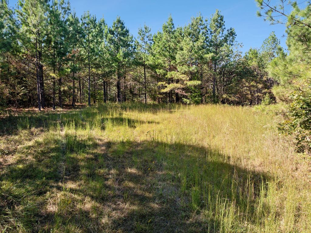 0 Cox Hollow, Dover