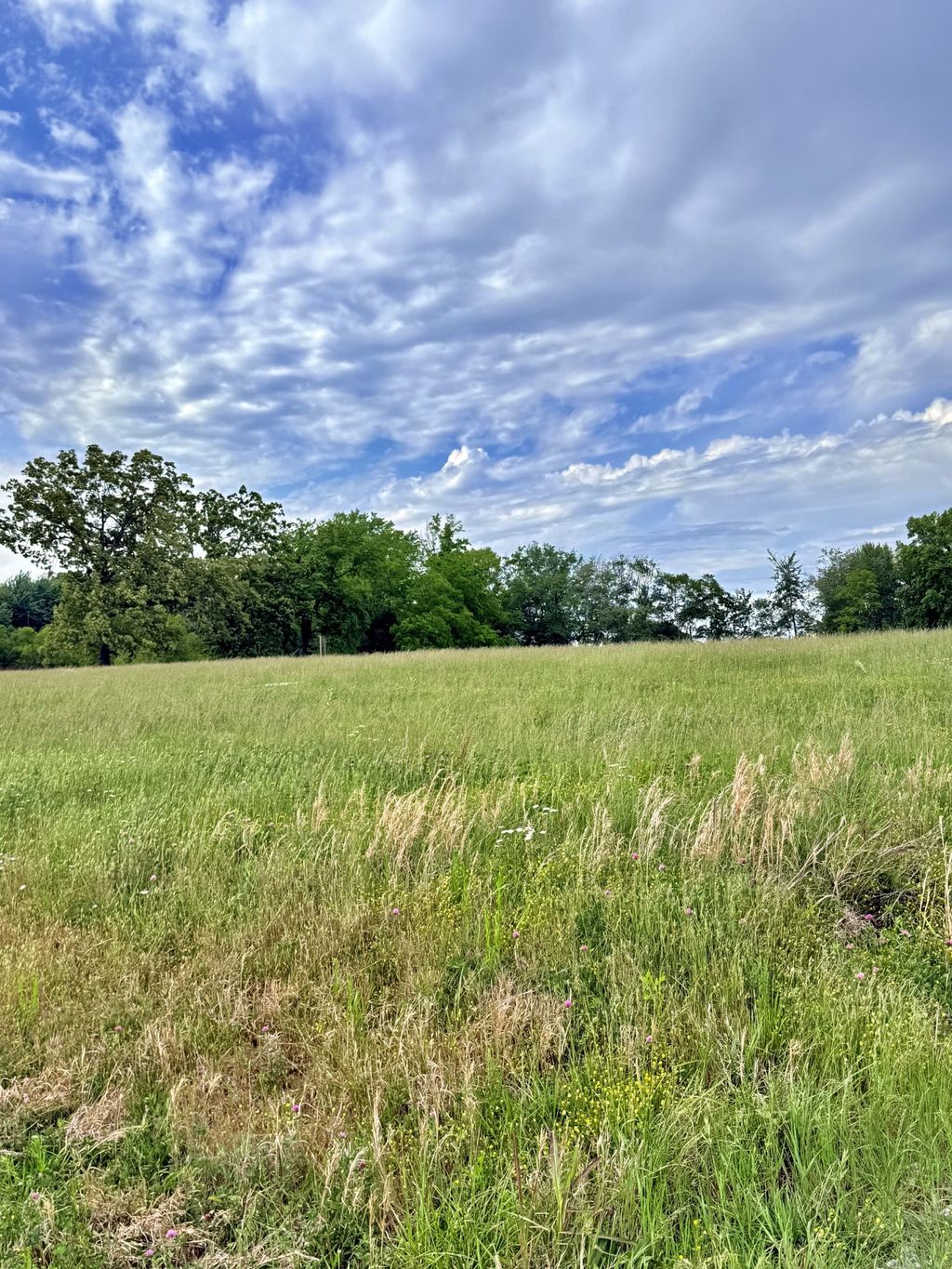 5165 Highway 41 N, Springfield