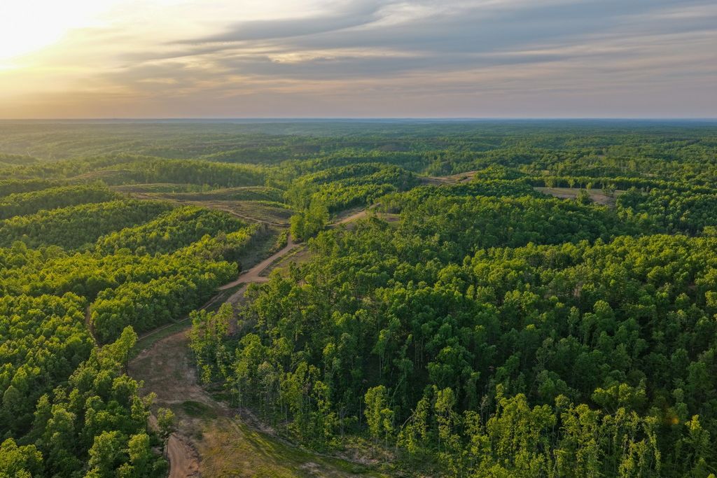 0 Firetower Rd, Centerville