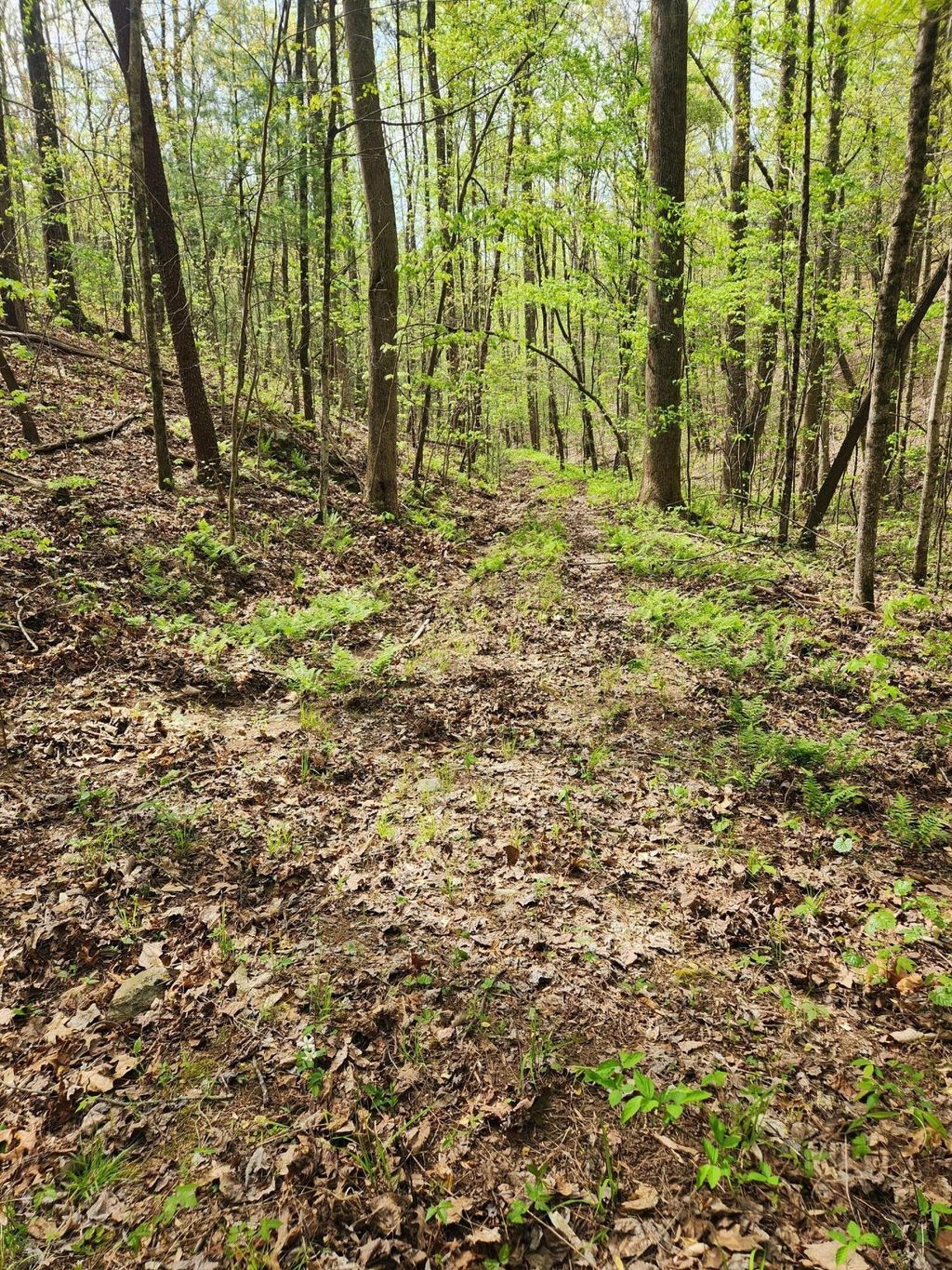 0 Chestnut Mountain Road, Reliance