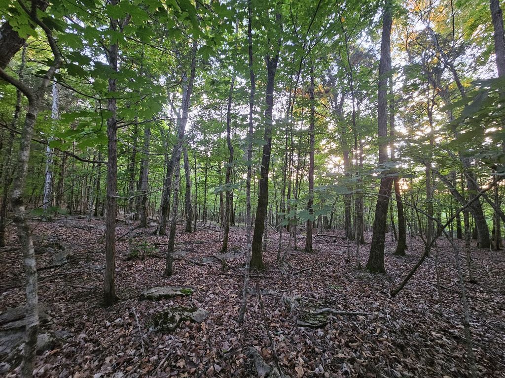 3 Sewanee Summit Road, Decherd