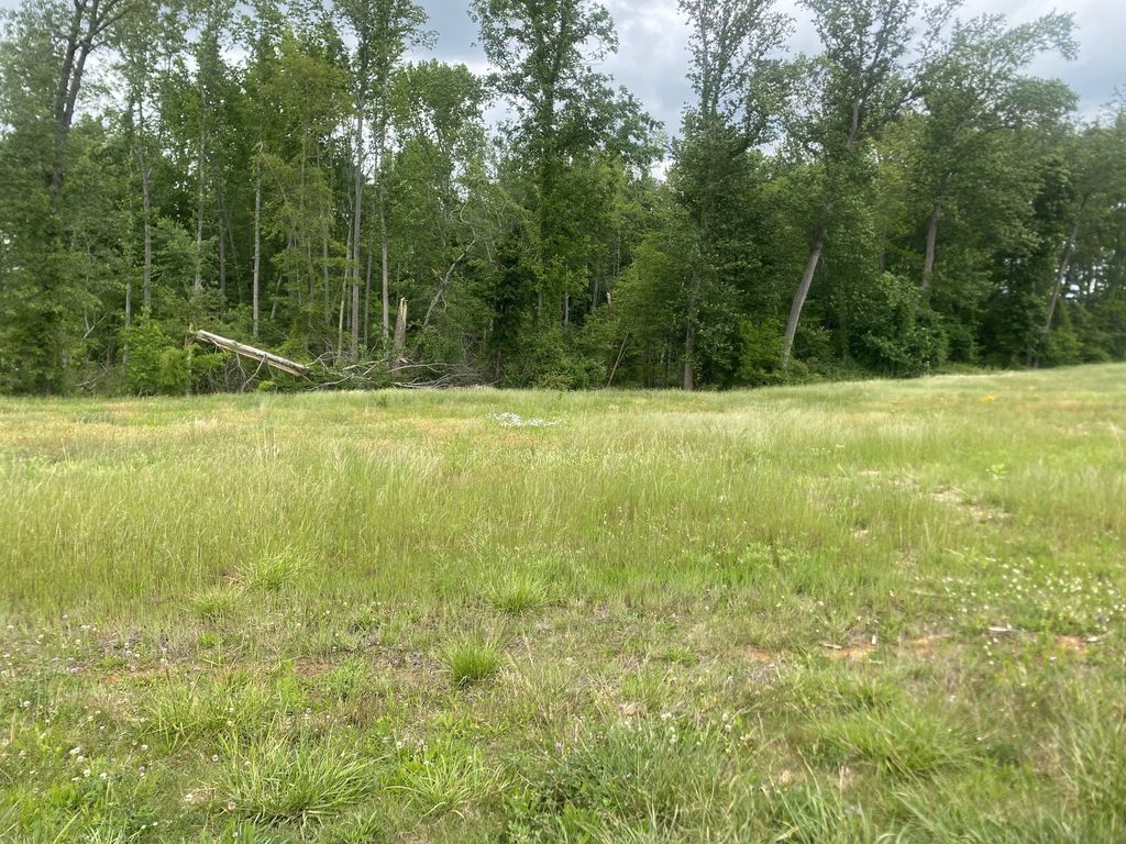0 Wheeler Road, Mc Minnville