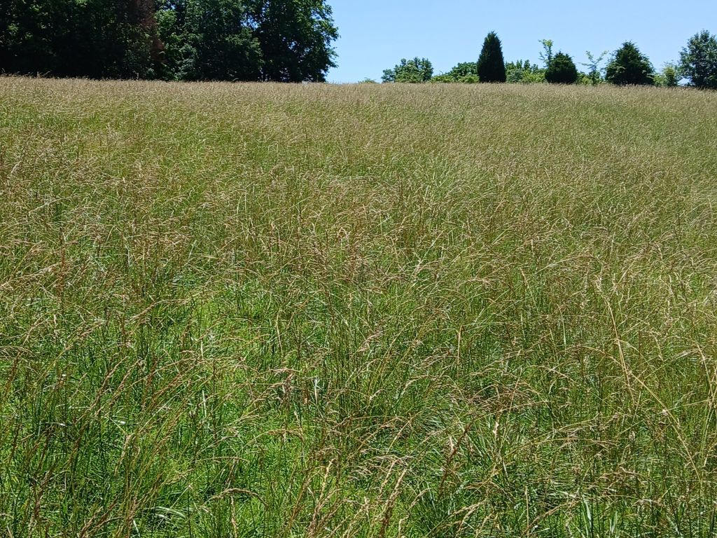 0 Lockertsville Road, Ashland City
