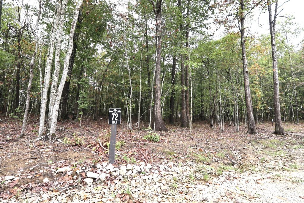 72 Woodly Branch Way, Monteagle