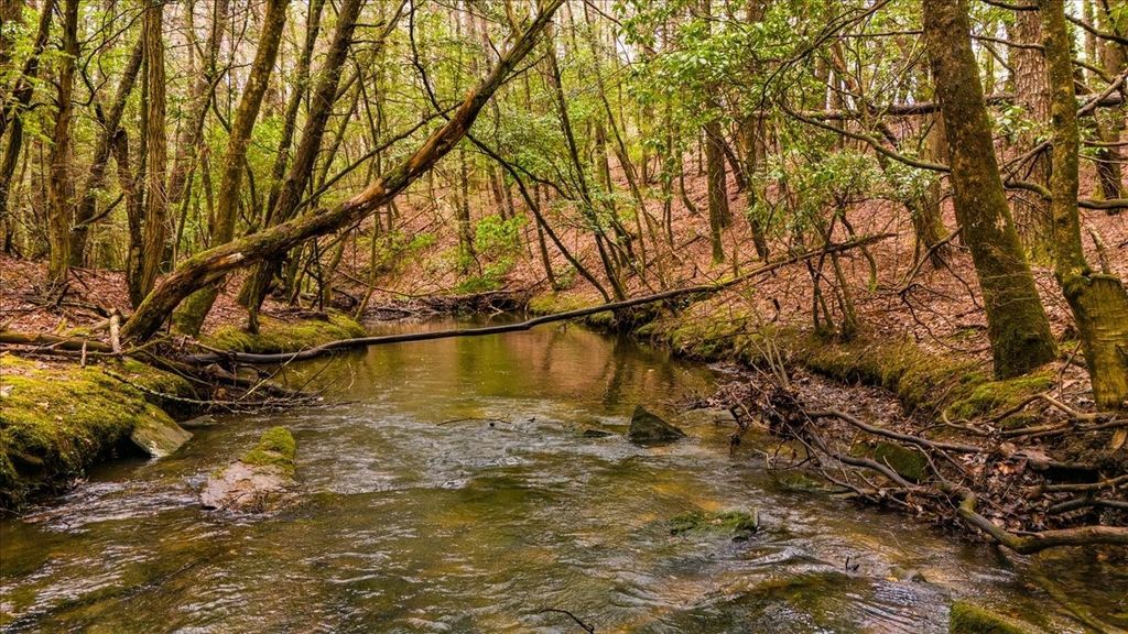 0 Timberwood Trce, Monteagle