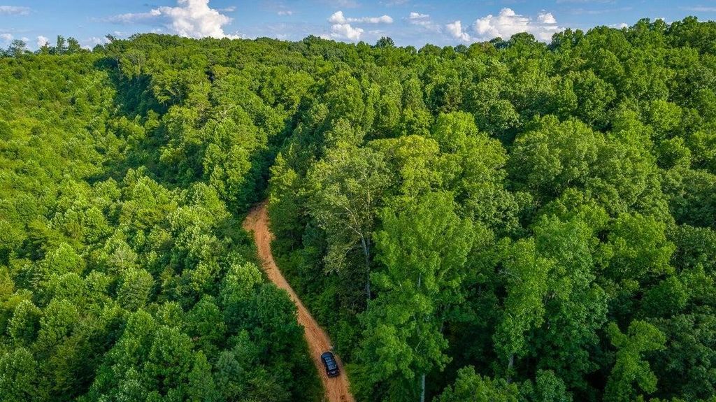 359 County Road 4, Calhoun
