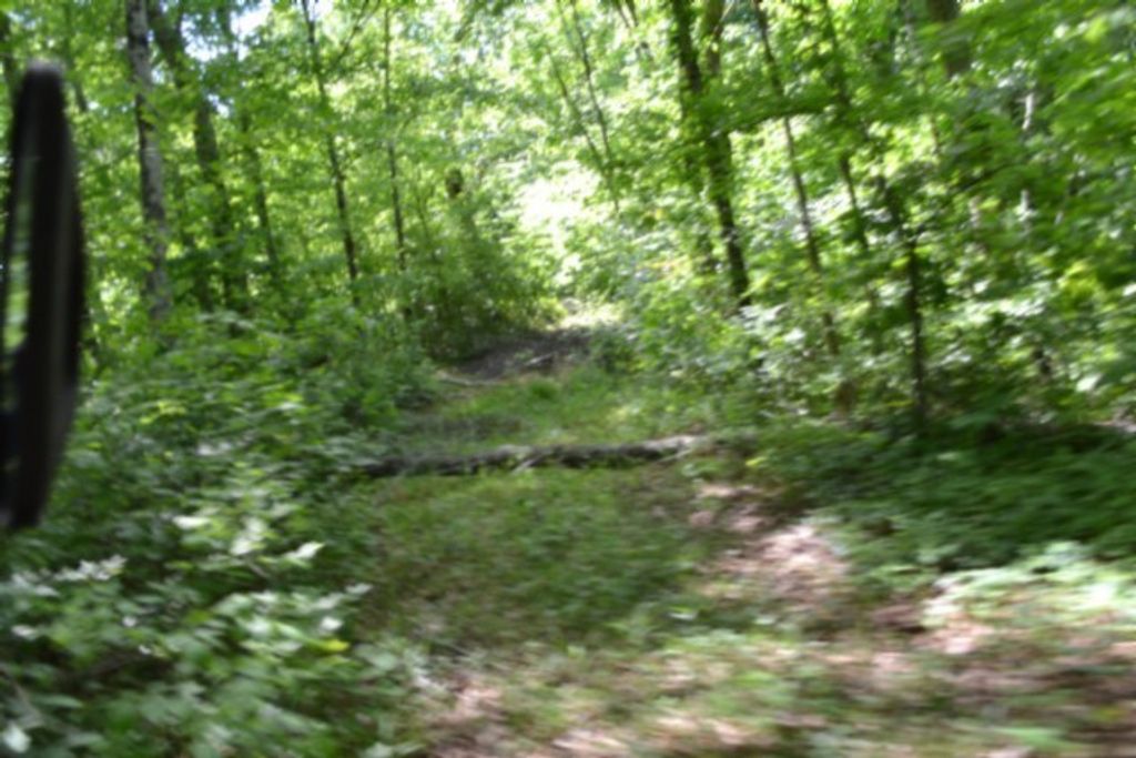 0 Beauchamp Rd, Burkesville