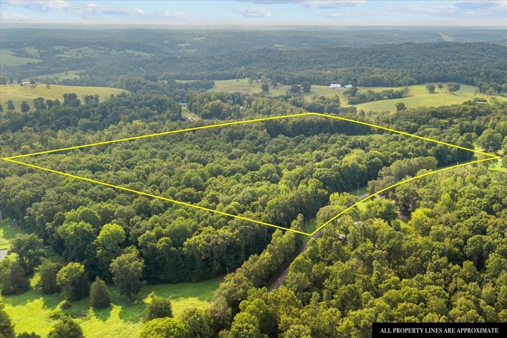 0 Kizer Ridge Road, Erin