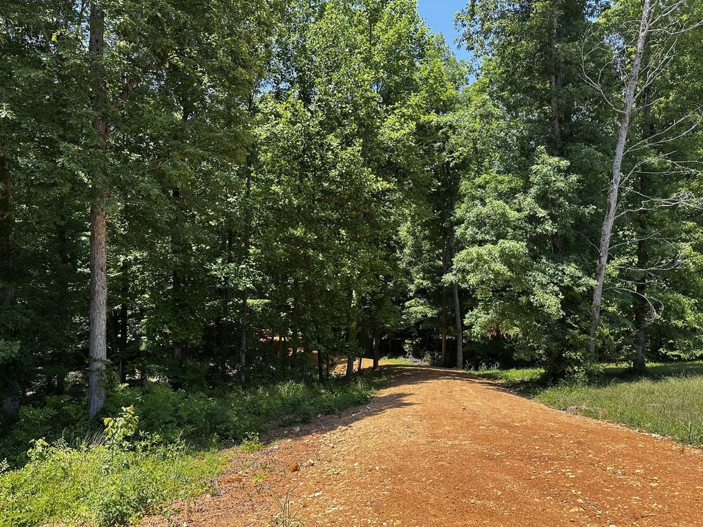 0 Littrell Road, Loretto