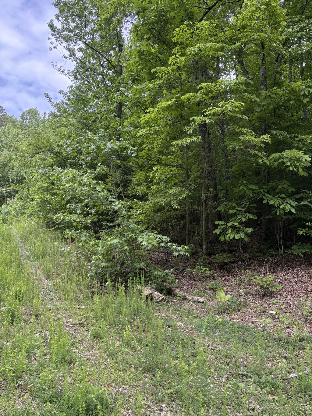 225 Hollow Road, Whitwell
