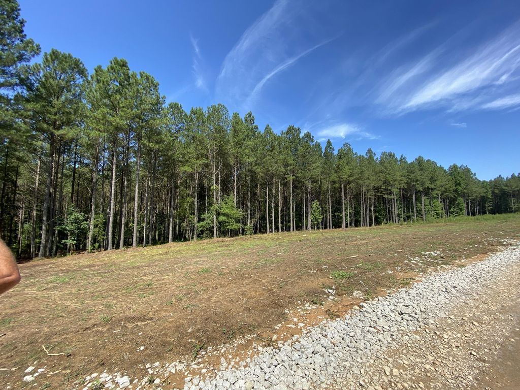 940 Crockett Point, Jasper