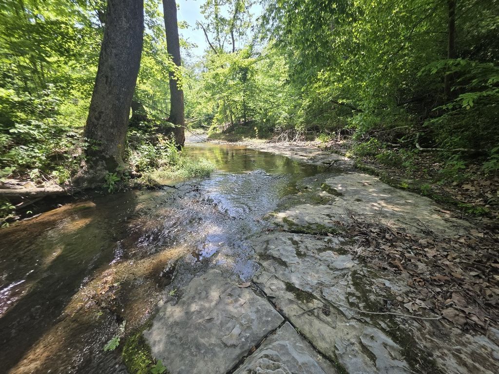 1310 Carney Winters Rd, Ashland City