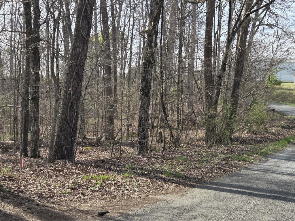 3 Lowery Road, Ocoee