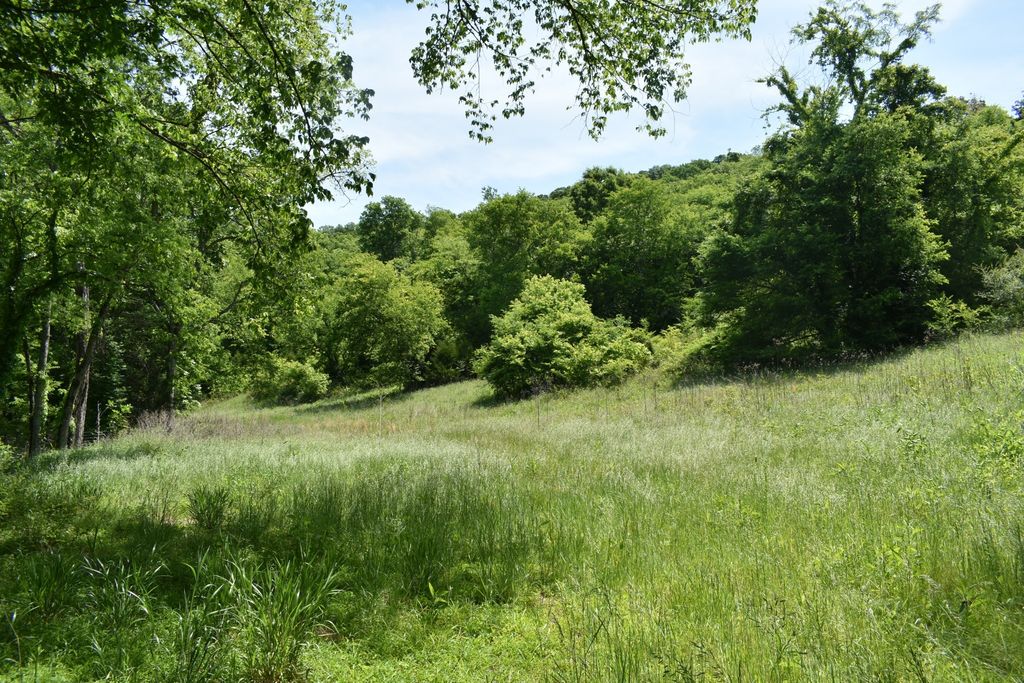 0 Brooks Bend Lane, Gainesboro