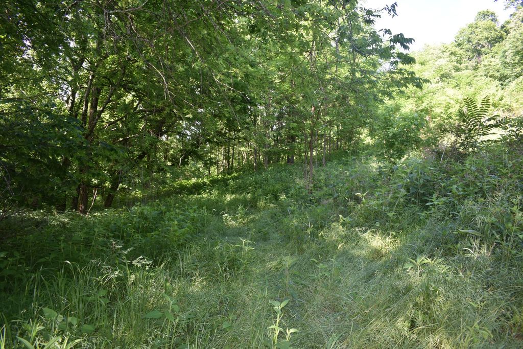 0 Brooks Bend Lane, Gainesboro