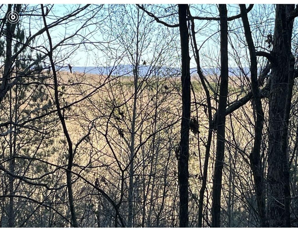 0 County Road 956, Calhoun