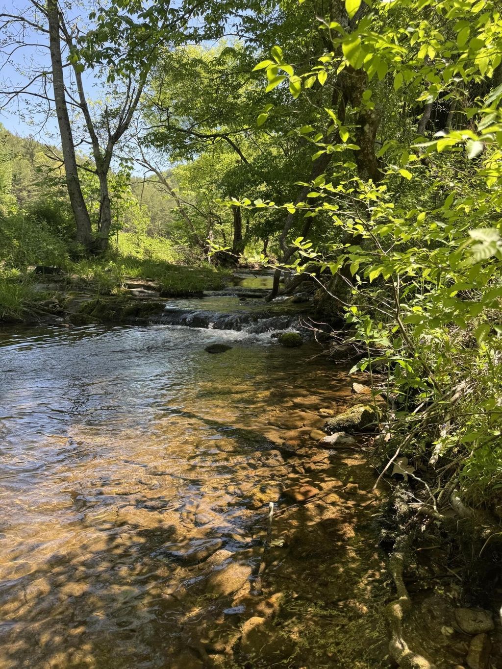 915 Chestnut Valley Road, Vonore