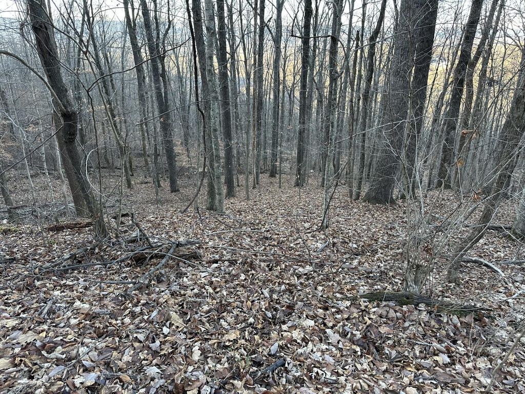 76 Fox Ridge, Pikeville