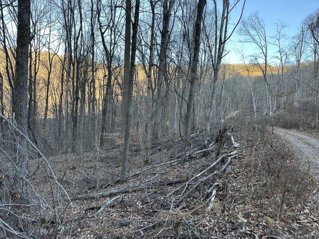 3233 Stone Ridge Road Road, Pikeville
