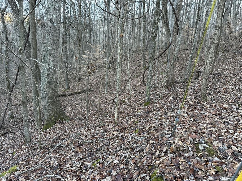 83 Stone Ridge Road, Pikeville