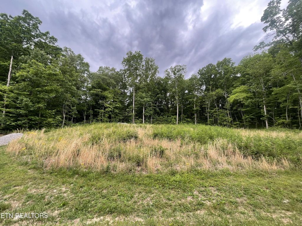 0 Willow Ridge Drive, Crossville