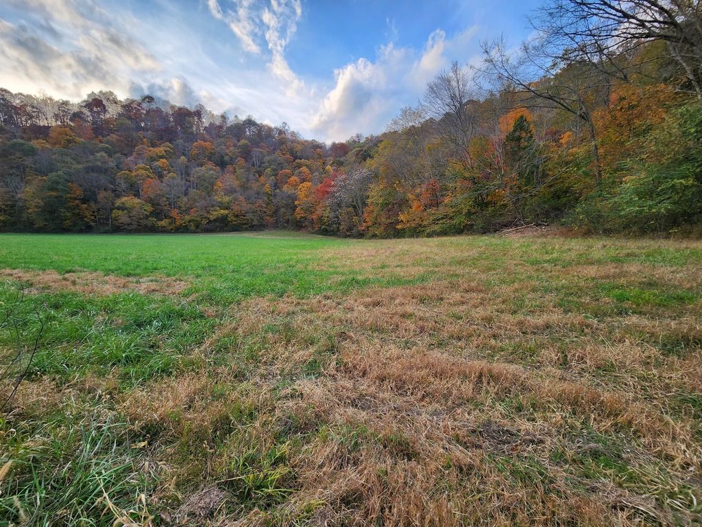 0 Pine Lick Rd, Whitleyville