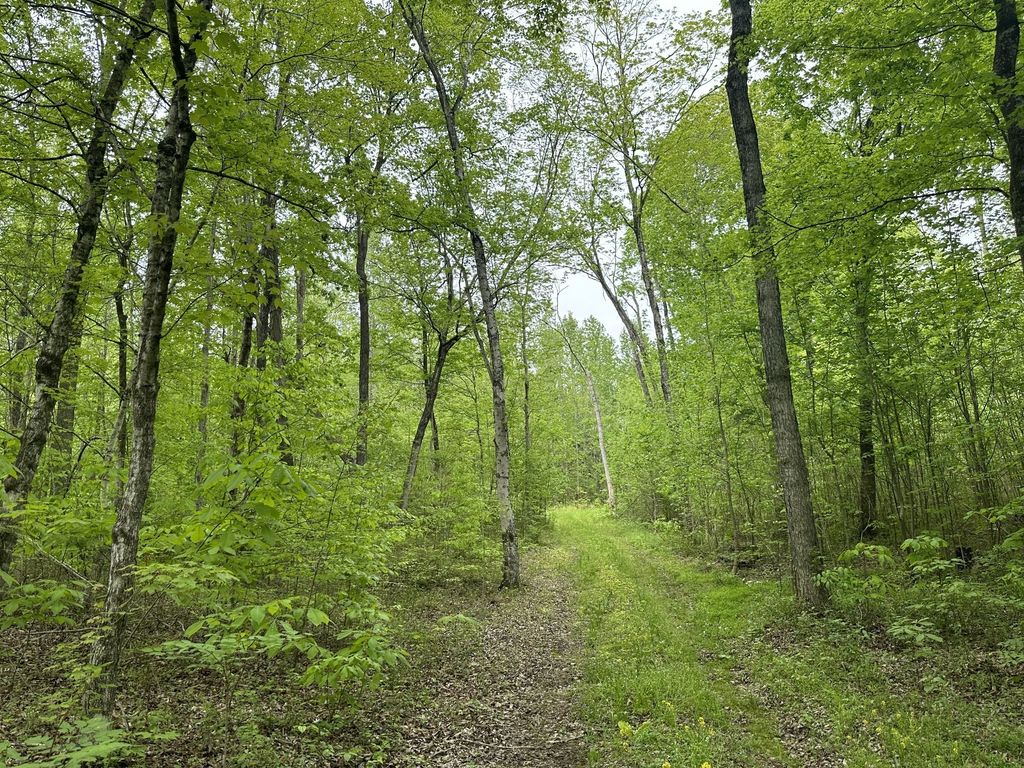 2 Poplar Ridge Rd, Chapmansboro