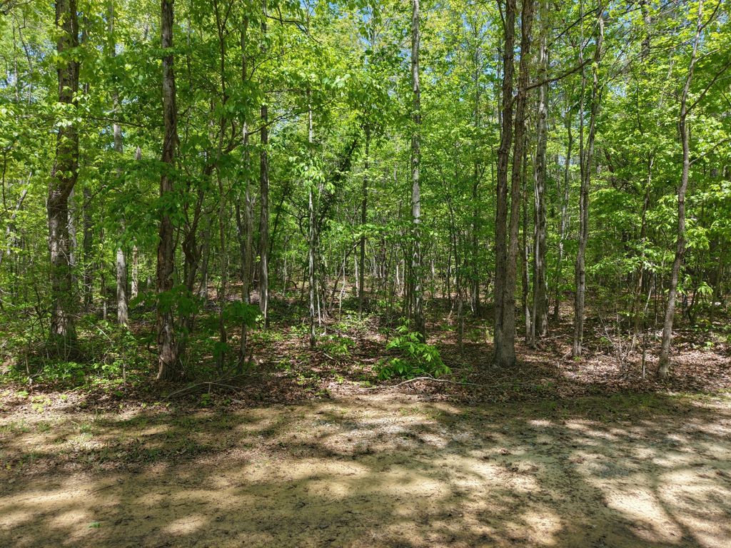 0 Jim Black Drive, Old Fort