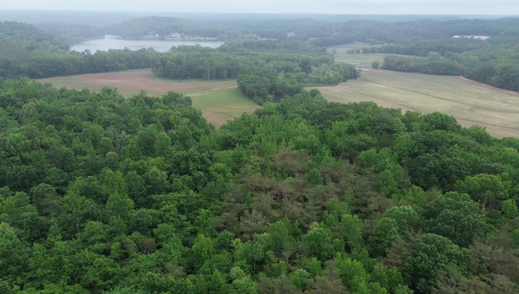 510 Lost Creek Farm Dr, Decaturville