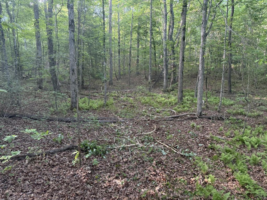 1672 Besstown Road, Beersheba Springs