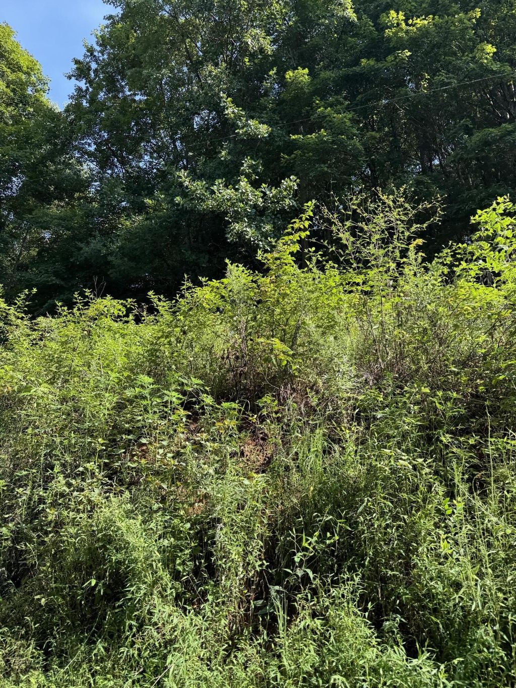 115 Hughes Hollow Road, Ten Mile