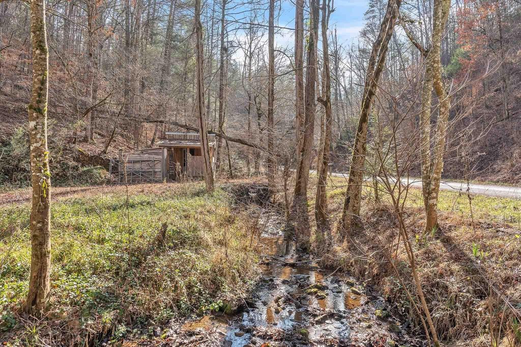1559 Spring Creek Road, Reliance