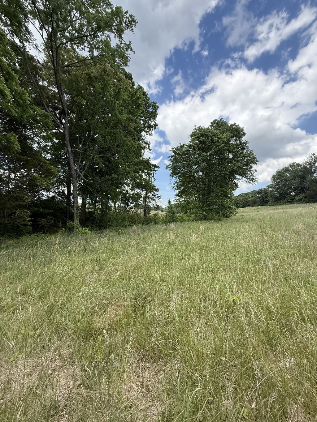 0 Love Rd, Mc Minnville