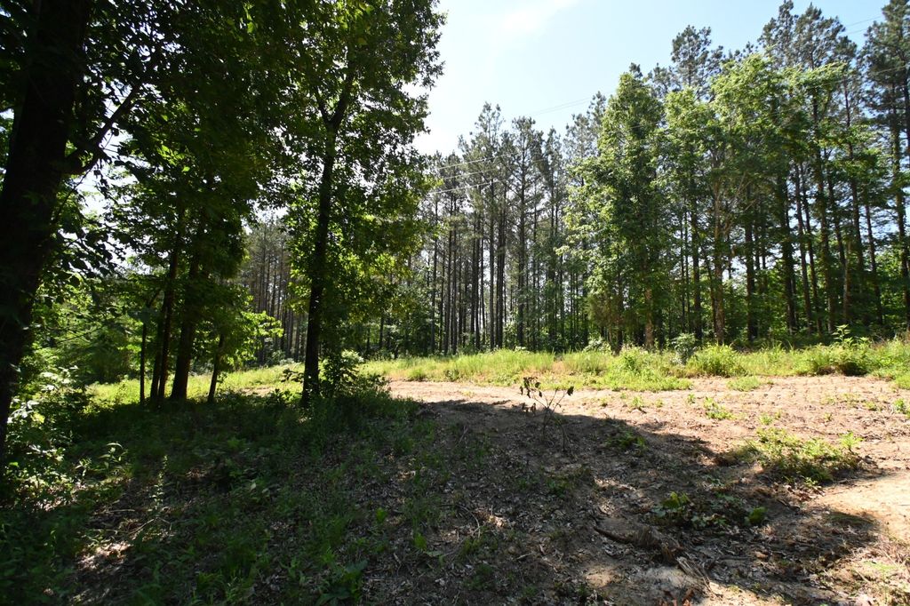0 Bear Creek Rd, Waverly