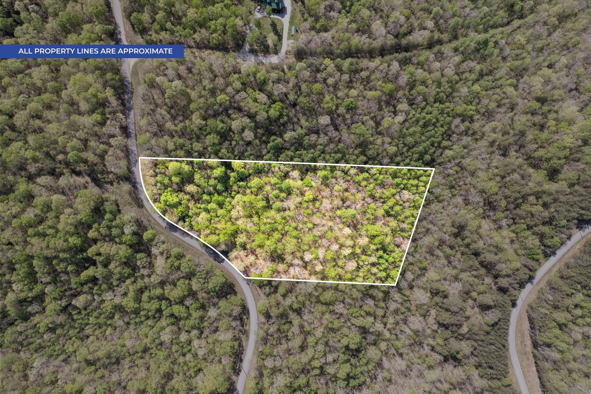 Photo of Listing #3220203
