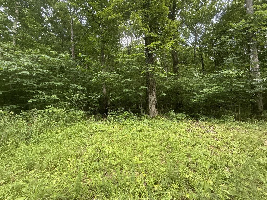 0 Caney Branch Rd, Stewart