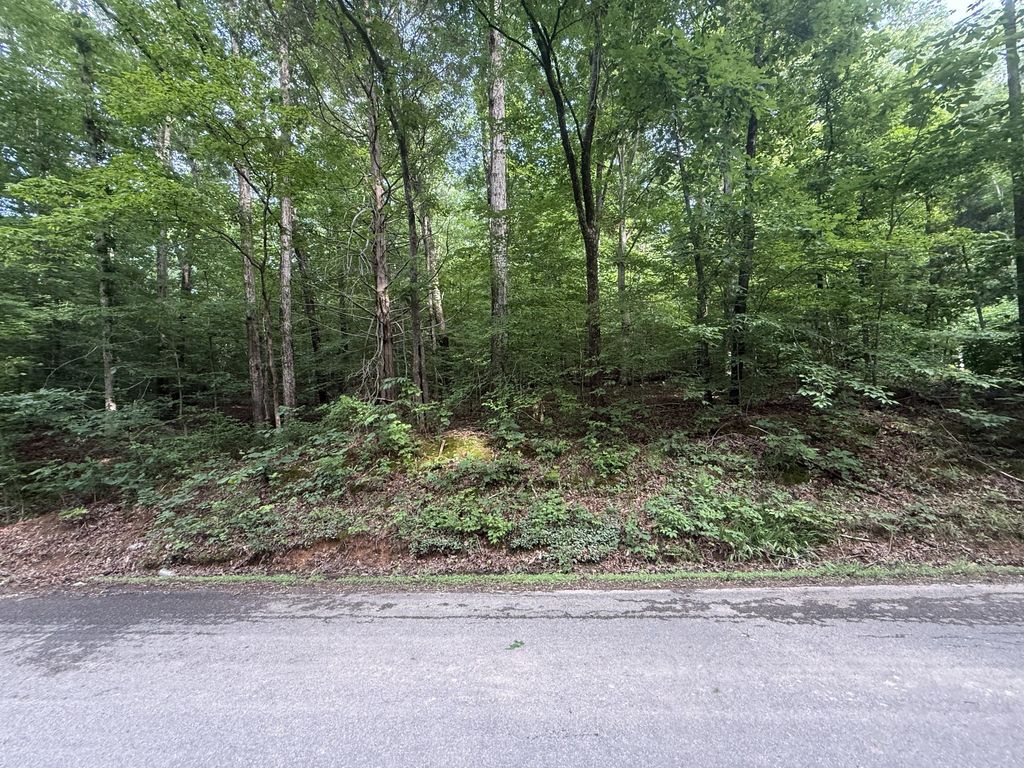 0 Caney Branch Rd, Stewart