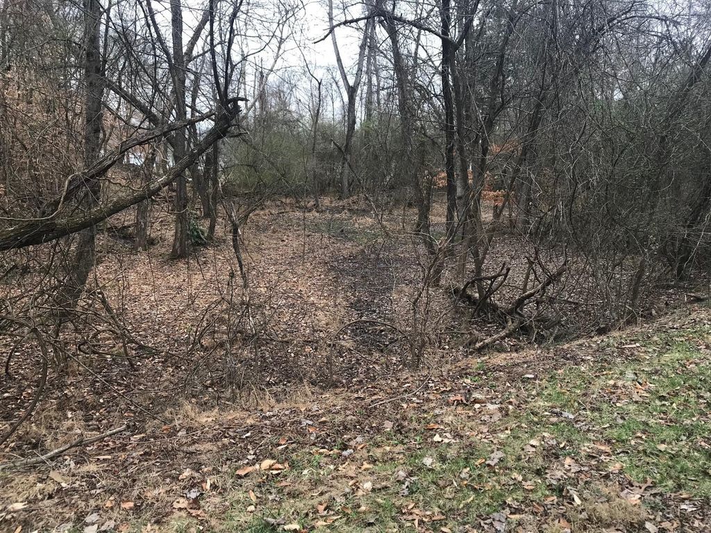 50 Cherokee Circle, Ten Mile