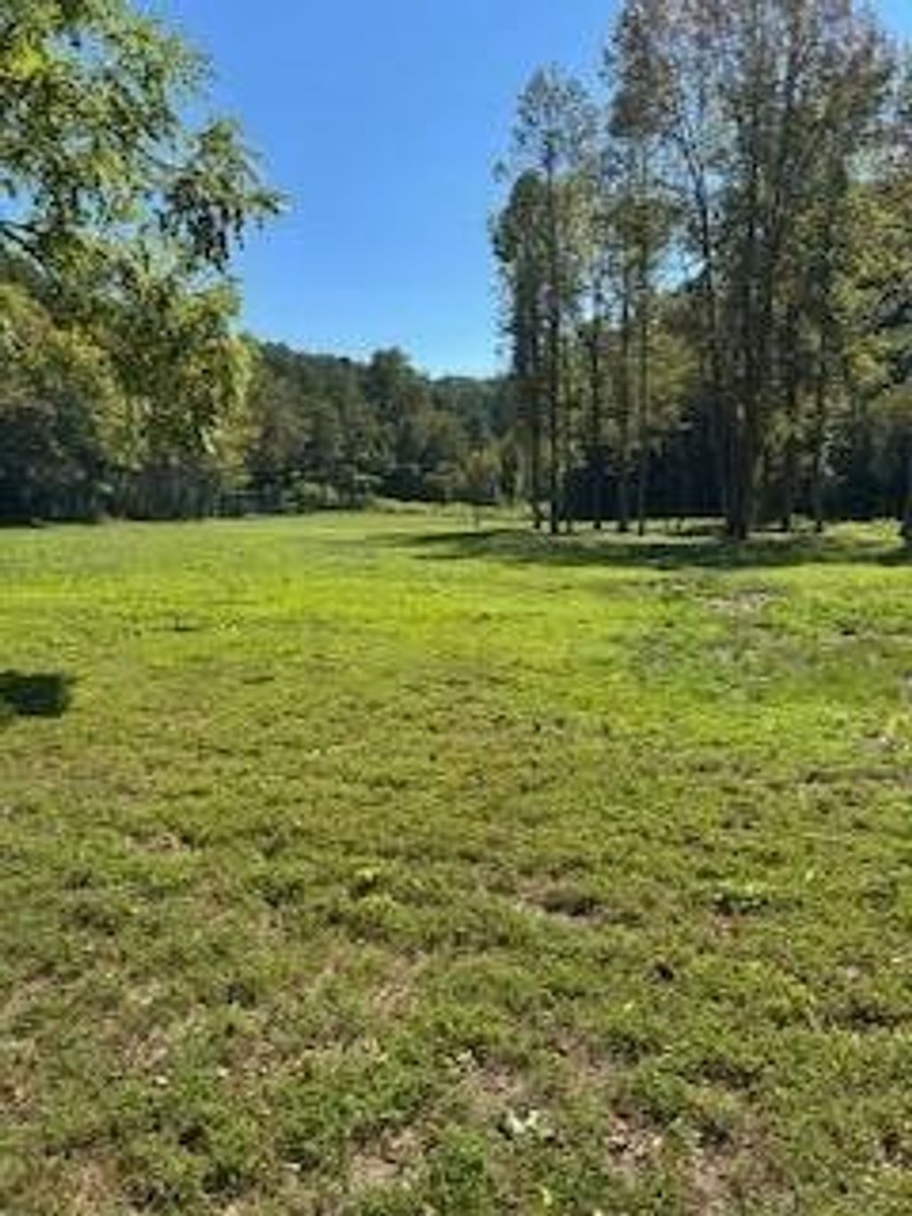 61 Chestnut Valley Road, Vonore