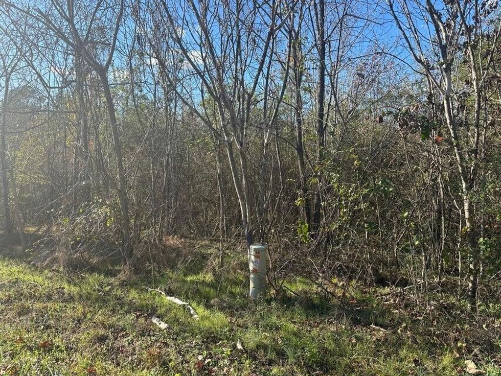 0 Mt Carmel Road, Decatur