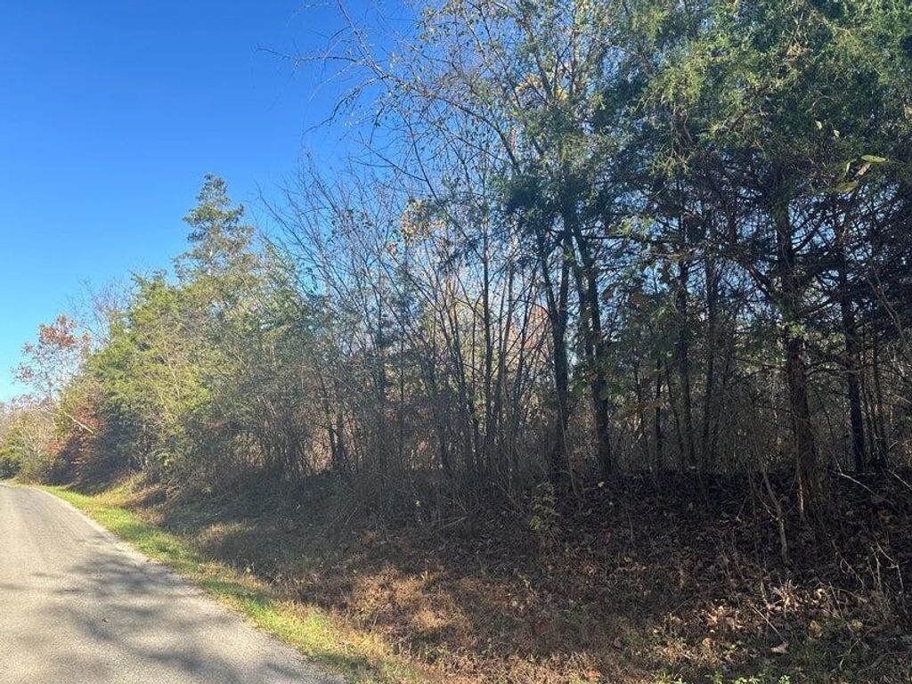 0 Mt Carmel Road, Decatur