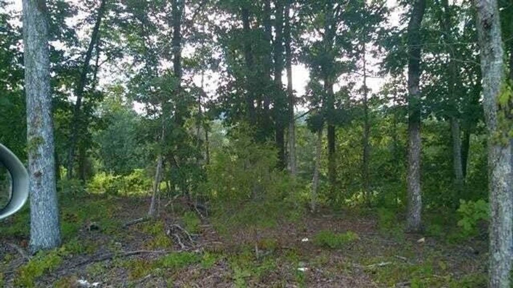 104105 Peach Orchard Hill Road Ne, Cleveland