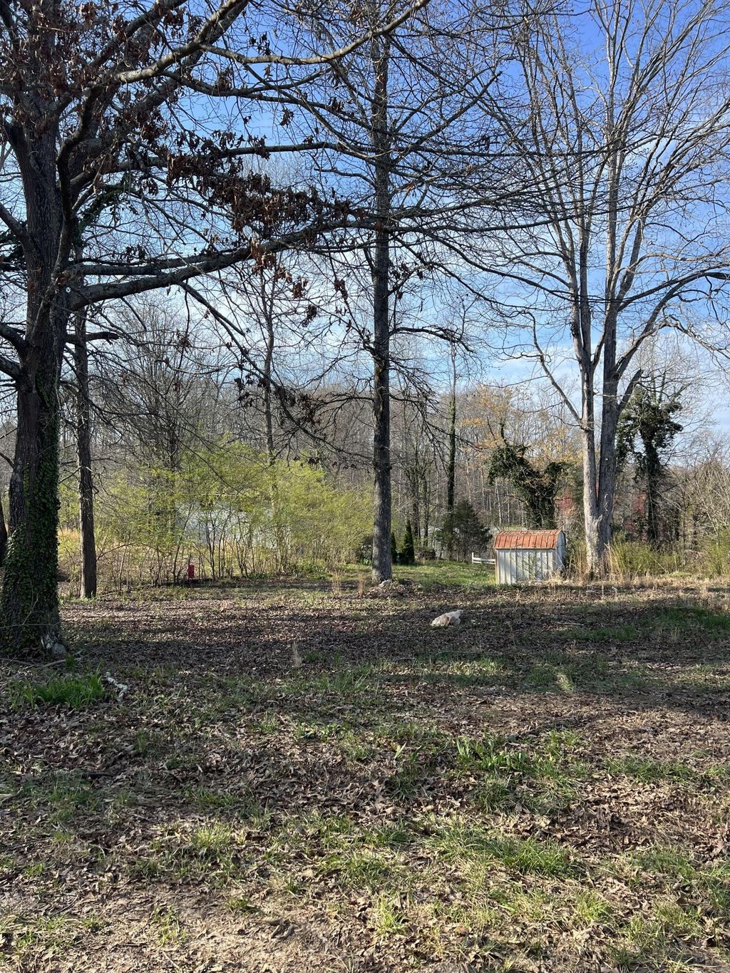 3 Hunter Drive, Cleveland