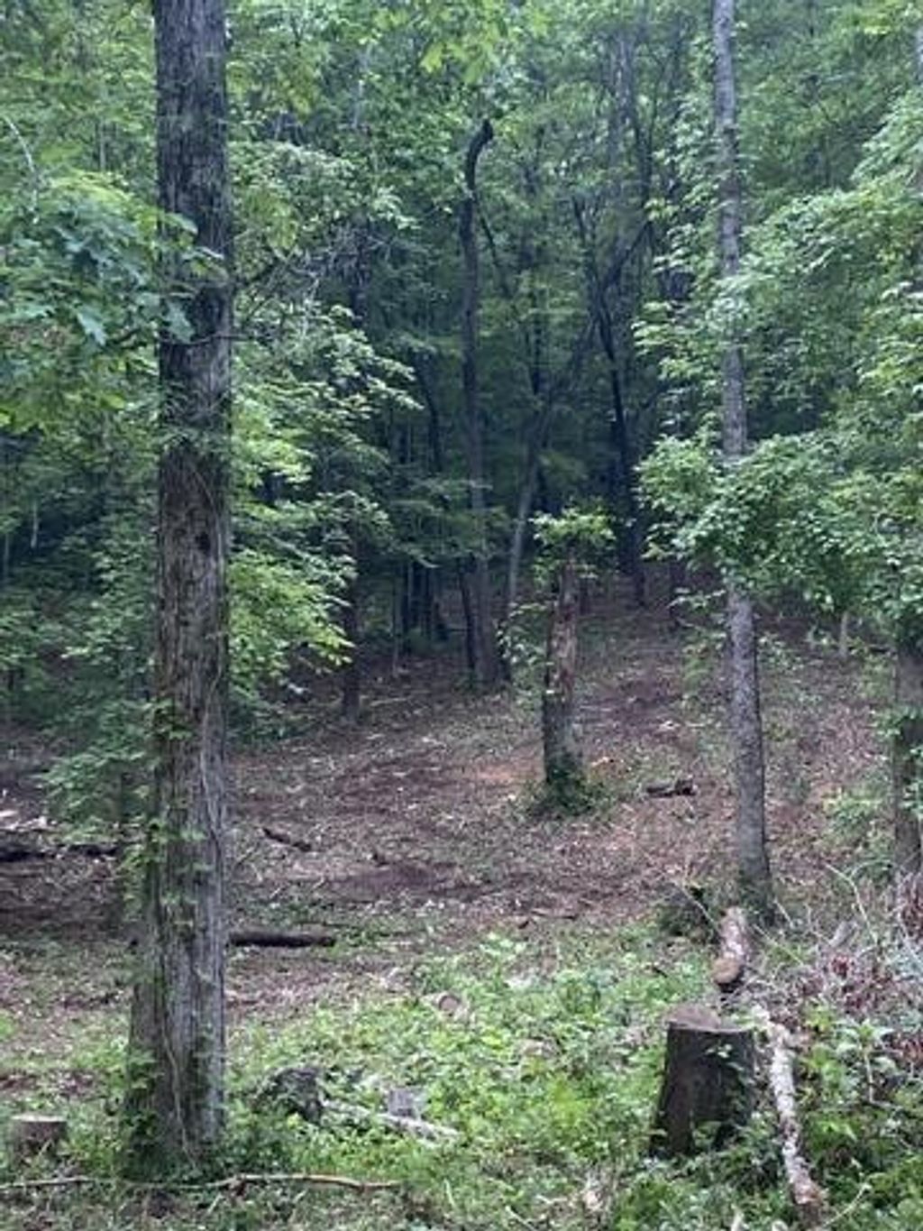 296 County Road 263, Niota